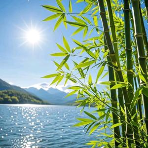 简约（朝着太阳生长，做一个温暖的人）。头像