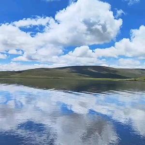 芒果爱摄影头像