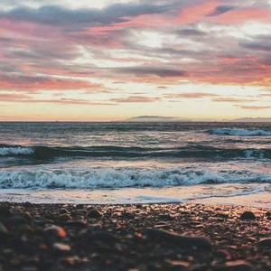 听知了的蜘蛛头像