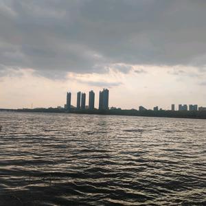 飞不起来飞头像