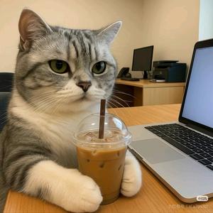 猫meme的奇妙日记头像