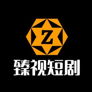 臻视“短剧二號”头像