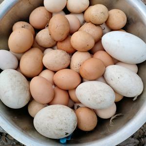 农村人阿震头像