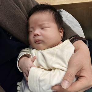 @邵博在长大头像