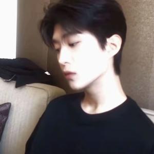 枫辞椿⁰⁶¹⁶(被翻牌版)头像