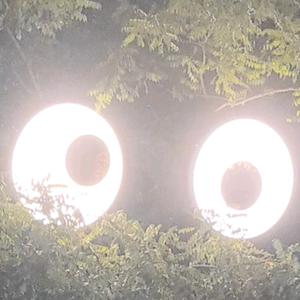 小伙子（张小伙）头像