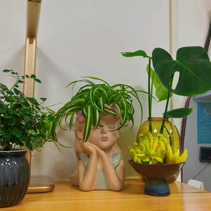 近视防控徐老师头像