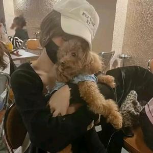 小鱼爱吃🐟头像