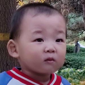 表情包包包头像