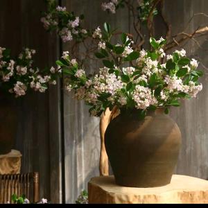 天会亮  心会暖头像