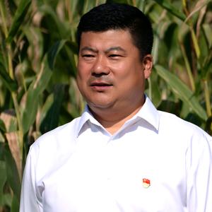 大石村书记-杨杰头像