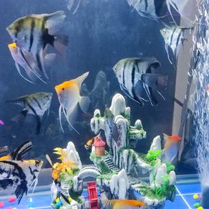 🌈🌈人生头像