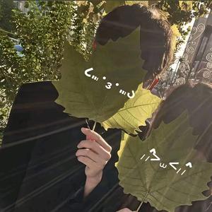 祖坟冒青烟头像