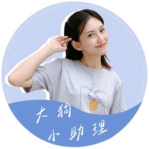 大狗小助理头像