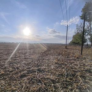 风一样自由头像