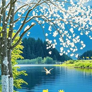 追光@小太阳头像