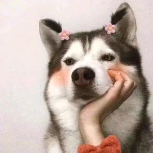 丽丽爆笑快车头像