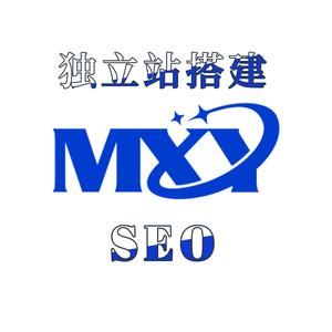 巡洋舰独立站-SEO头像