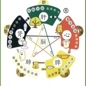 养生短视频头像