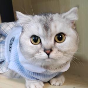 梦随心动，心随我动头像