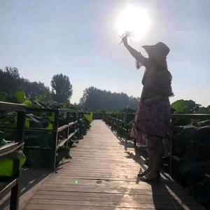 歌润皮肤管理头像