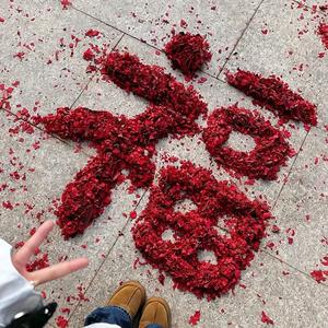 拥抱🤗幸福头像