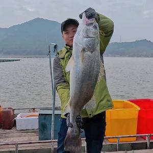 大头爱钓鱼 头像