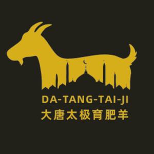 大唐太极头像