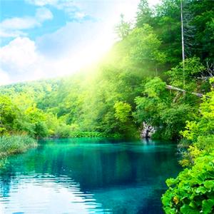 ，，，，，，头像