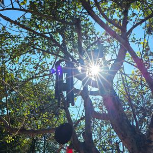 陀螺👩🏻头像