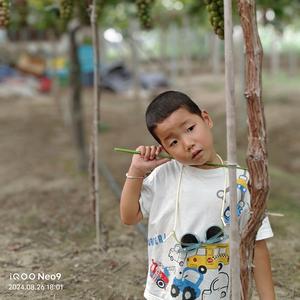 名字很难取头像