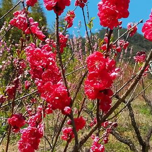 多远才是尽头头像