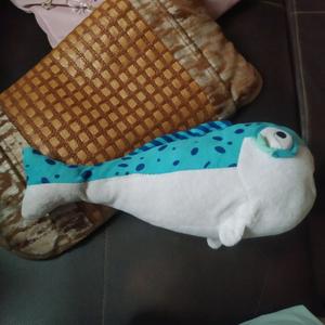 希望不能被占（蛋仔名）头像