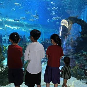 🌈采采🌈头像