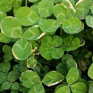 月亮之上！头像