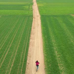 马路边捡员头像
