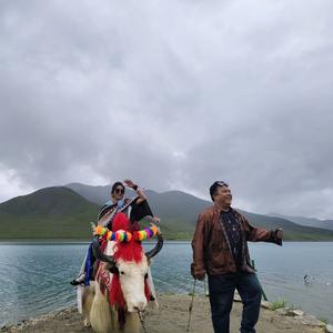 姐的性格你不懂头像