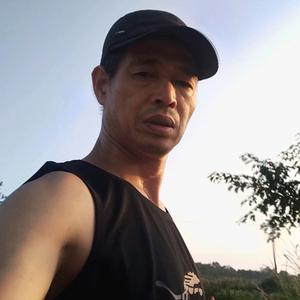 白杨树头像