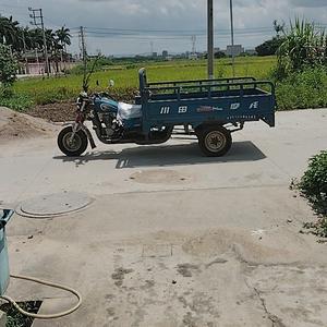 大脚仓之：西胪中华兄头像