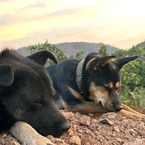 叫我小陆就好头像