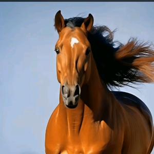 1米6的阳光头像