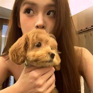 扶老奶奶闯红灯头像