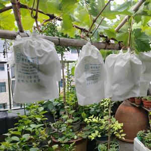 妍汐优品店头像