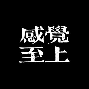 感觉至上头像
