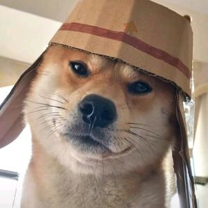 头上长根草头像