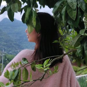 此心安处是吾乡头像