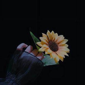 ঞ᭄柚子᭄头像