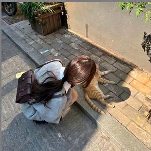 重庆那场雨、头像