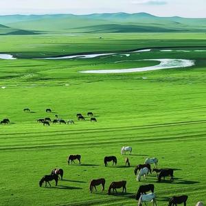 我住长江边头像