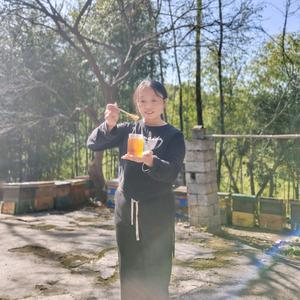 追蜂人胡杨《野山花土蜂蜜》头像